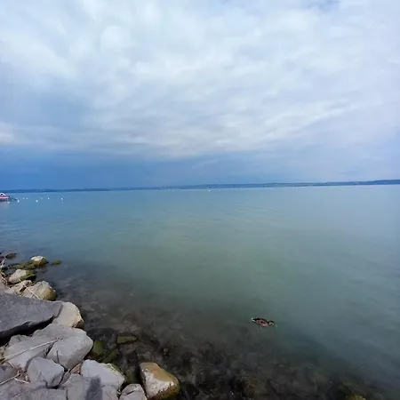 Black Swan Panorama * Siofok