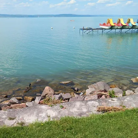 Black Swan Panorama * Siofok