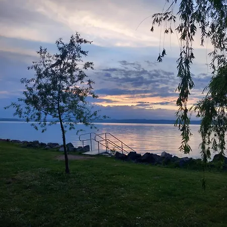 Black Swan Panorama Siofok